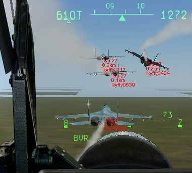 24.jpg