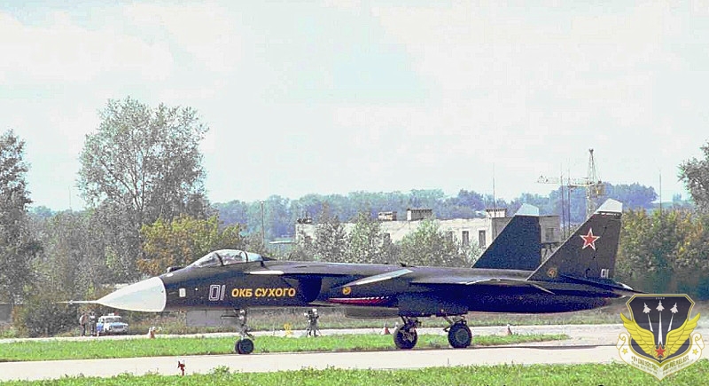 s-37_flight_3_.jpg