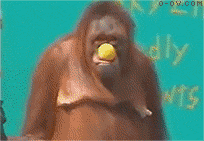 9e3df8dcd100baa16ee353384710b912c9fc2e61.gif