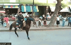 730e0cf3d7ca7bcb0561c1abbe096b63f624a81f.gif