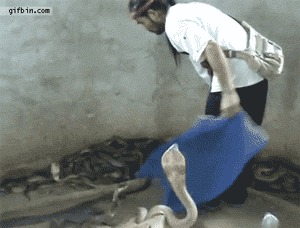 500fd9f9d72a60593d8cec992834349b023bba90.gif