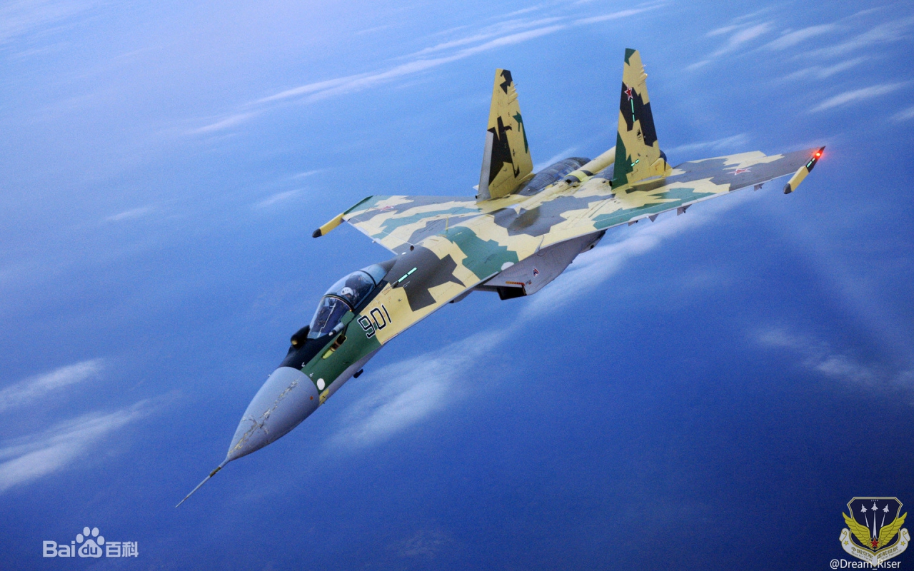 su35.jpg