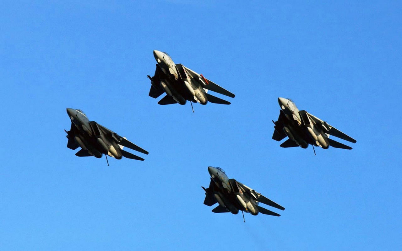 f14_zhandouji-003.jpg