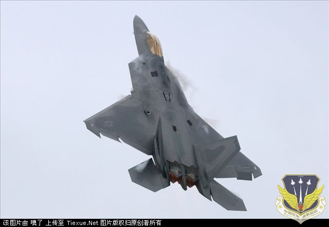 t8.jpg