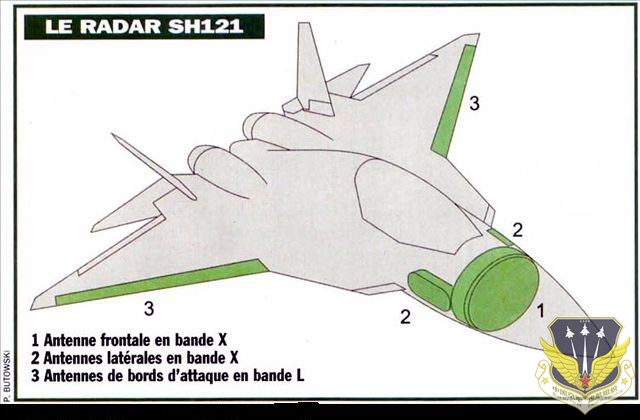 T2.jpg