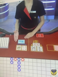 QQ��3908974648��������˾���ϸ�����������