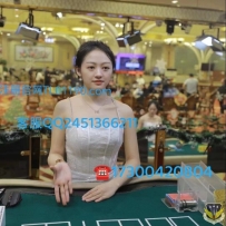 QQ��2451366211��������˾���ڿ�������